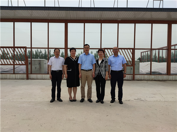 农业农村部微生物肥料和食用菌菌种质量监督检验测试中心李俊主任、姜昕主任来人生就是博公司调研、指导事情 农业农村部微生物肥料和食用菌菌种质量监督检验测试中心李俊主任、姜昕主任来人生就是博公司调研、指导事情