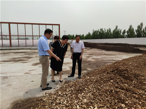 农业农村部微生物肥料和食用菌菌种质量监督检验测试中心李俊主任、姜昕主任来人生就是博公司调研、指导事情 农业农村部微生物肥料和食用菌菌种质量监督检验测试中心李俊主任、姜昕主任来人生就是博公司调研、指导事情