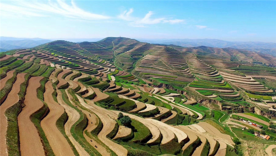 ÈËÉú¾ÍÊDz©ÉúÎï£ü¹ú¼ÒÖØµãÑз¢¼Æ»®¡°»ÆÍÁ¸ßÔºµ×÷ÊÊË®¸ÄÍÁÓë²úÄÜÌáÉý¼¼Êõģʽ¼°Ó¦Óá±ÏîÄ¿Æô¶¯ ÈËÉú¾ÍÊDz©ÉúÎï£ü¹ú¼ÒÖØµãÑз¢¼Æ»®¡°»ÆÍÁ¸ßÔºµ×÷ÊÊË®¸ÄÍÁÓë²úÄÜÌáÉý¼¼Êõģʽ¼°Ó¦Óá±ÏîÄ¿Æô¶¯