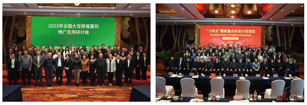 �������ǲ������ƽ���������Ӧ�������󶹲�������