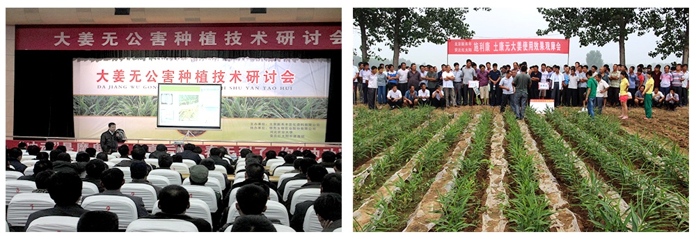 �������ǲ������������＼�����𡰶��󽪡�����������