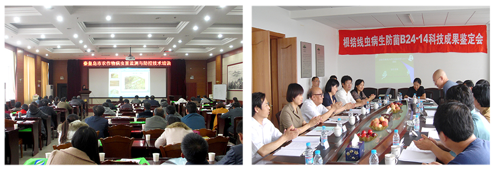 �������ǲ���������������ǽ���ƹϸ����߳�����