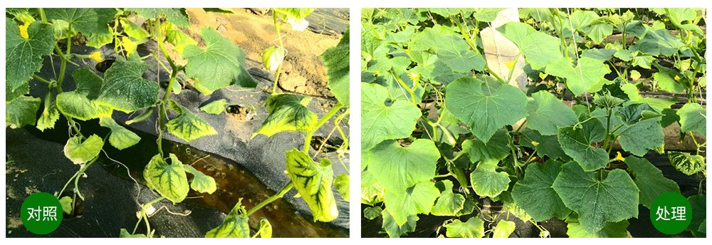 �������ǲ����ﺣ����������ԡ������Ӫ��