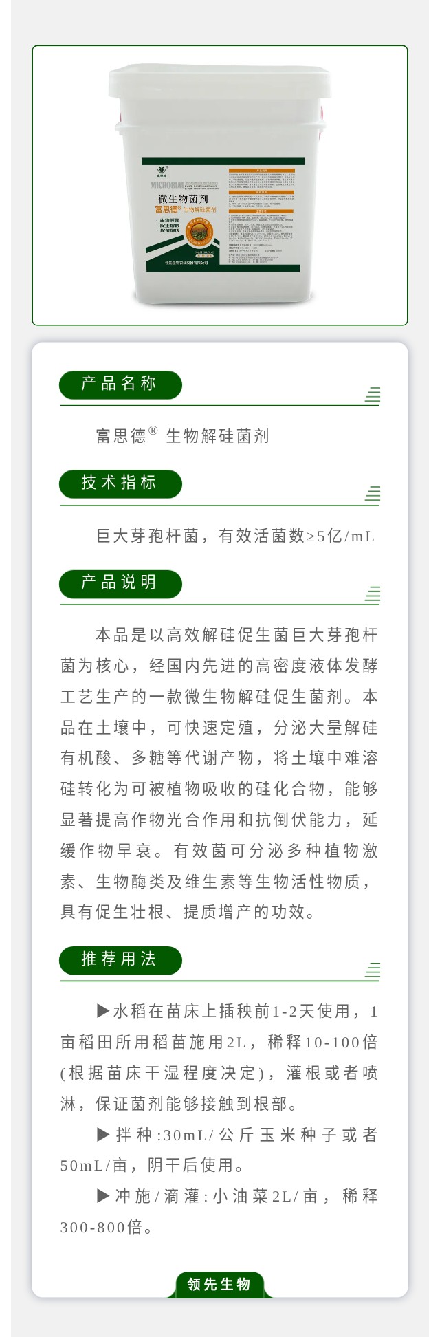 ��˼��??���������